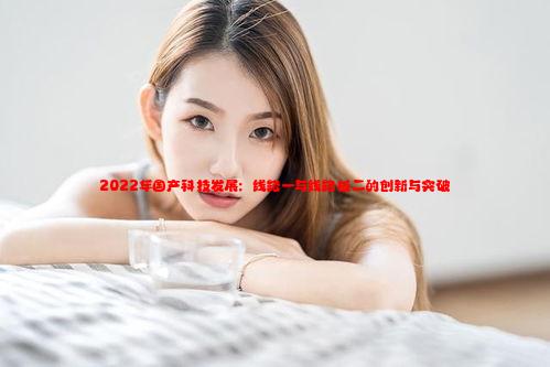 2022年国产科技发展：线路一与线路板二的创新与突破